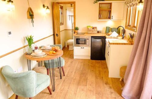 Mauchline Apartment | Lintmill Lodges - Thistle Shepherds Hut