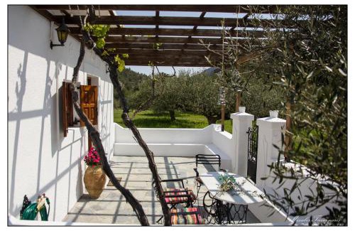 Aperio House | Liodentro House