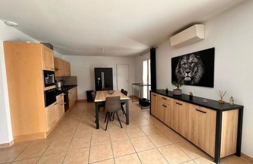 Saint-Gilles Villa | Lion house