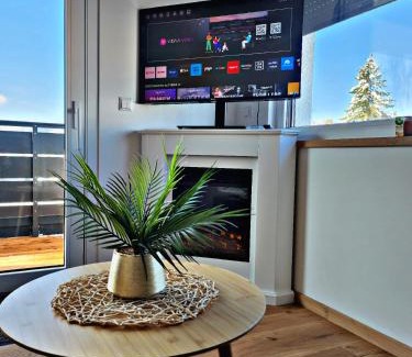 Heidenheim an der Brenz Apartment | Lions Place Premium Apartments EXECUTIVE Luxus PENTHOUSE inklusive SPA