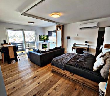 Heidenheim an der Brenz Apartment | Lions Place Premium Apartments EXECUTIVE Luxus PENTHOUSE inklusive SPA