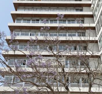 Alvalade Apartment | Lisbon Serviced Apartments - Alvalade