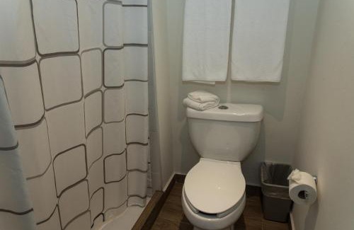 Veracruz Hotel | Lithio Hotel