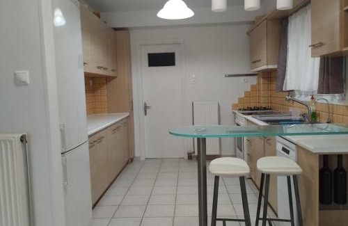 Karlovassi Apartment | Little Citrus Yard
