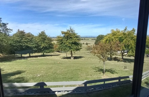 Feilding Cabin | Little Forest Cabins with an awesome outlook. No 2