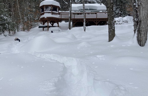 Andover Cabin | Little House on the Lake in the Forest