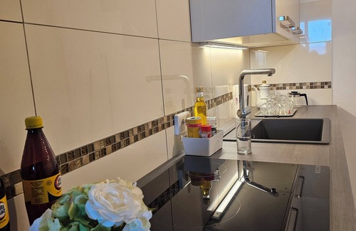 Boppard Apartment | Little Rhine View Château - Harry: with terrance, river vew, mountain view.