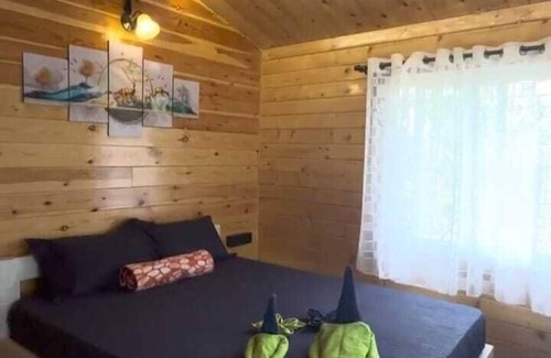 Shirwal Ski Chalet | Little Swiss By the Lake