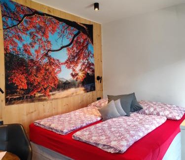 Fußach Apartment | Little Tiny Village Haus 2