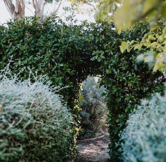 Drummond North House | Little Vineyard Caboose