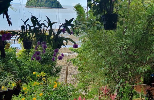 Ranong House | Littleduck bungalow Koh Chang Ranong
