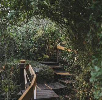 Michmanim Cabin | Live in the woods