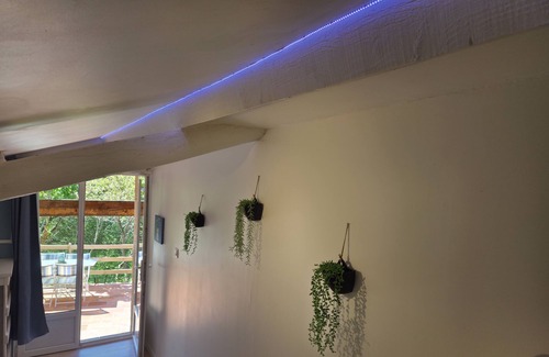 Gaillac Apartment | Lo Pitchoun, Gite for 2 with Jaccuzzi in the heart of nature Gaillac