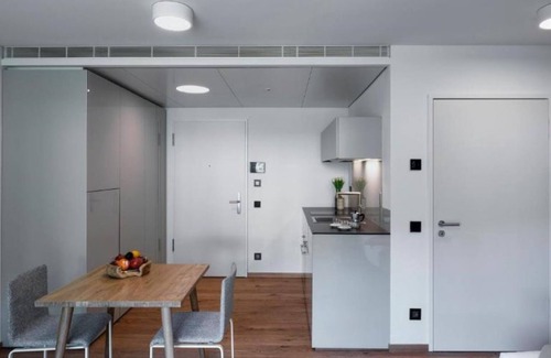 Stabio Apartment | Lo Scudo di Stabio - 35 m² vineyard view LST