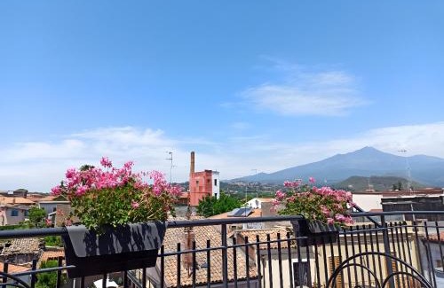 Aci Bonaccorsi Apartment | Lo Sguardo Dell'Etna - Etna View