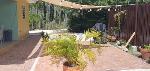 Sint Willibrordus Apartment | Local Willibrord Lodge