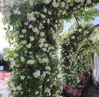Quinto di Treviso Hotel | LOCANDA RIGHETTO
