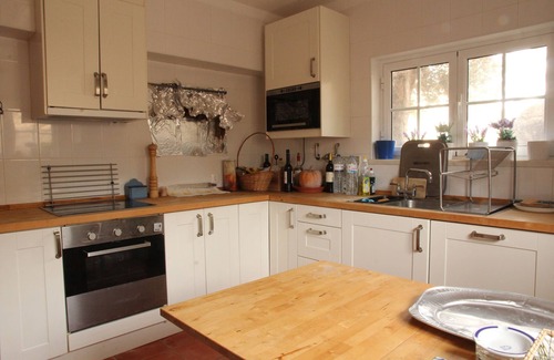 Montemor-o-Novo House | Located in a vast property. We are wine makers