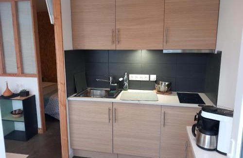 Saint-Medard-en-Jalles Apartment | Location Studio indépendant avec terrasse ,les vignes d'élian