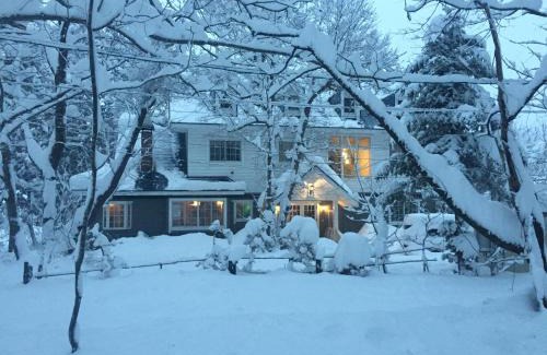Hakuba Cabin | Lodge Blue Mount Hakuba