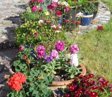 Bishopswood Bed & Breakfast | Lodge House B&B