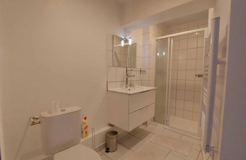 Lourdes Apartment | Lodging at Le Bourg "Appartement bleu" in Lourdes (max 6pers).