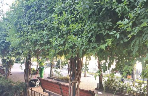San Andres Apartment | LOFT 2 DORMITORIOS