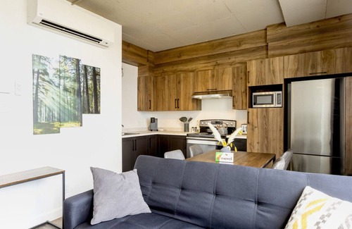 Rimouski-Neigette Apartment | Loft 309 | Rooftop | Downtown