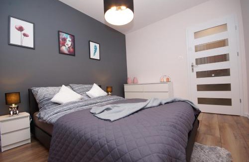 Gorzow Wielkopolski Apartment | Loft Apartament 1