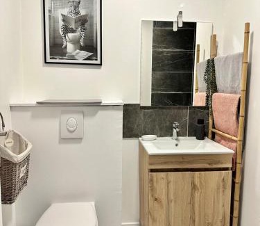 Ruelle-sur-Touvre Apartment | Loft avec climatisation, terrasse et parking