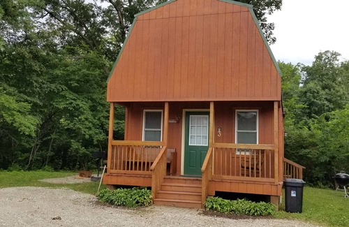 Moscow Cabin | Loft Cabin #3 near beautiful Cedar River.