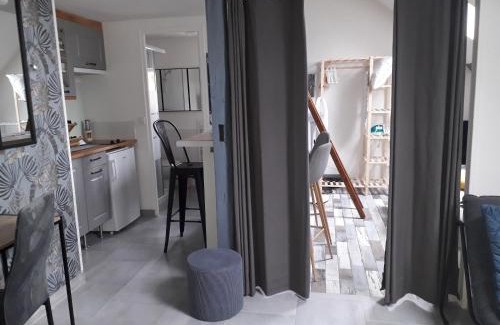 Montargis Apartment | Loft Haut de Gamme Centre Montargis, Place de Parking, Local à vélos, Linge de lits et serviettes, coin rivière amenagé, Hamac, Épicerie, Vélos en option, Tout confort jusqu'à 4 voyageurs