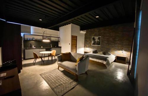San Luis Potosi Apartment | Loft hierro en excelente ubicación!