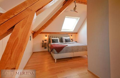 Weverce Apartment | Loft Merida - Designer Apartment with Large Bathtub