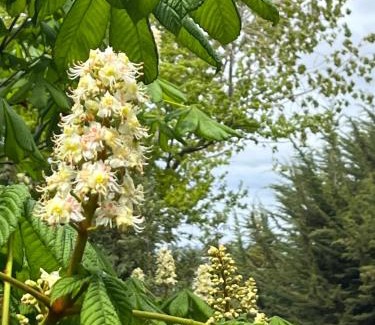 Castro House | Loft Nalhuitad