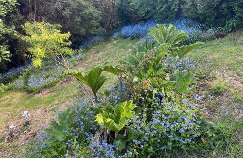 Castro House | Loft Nalhuitad