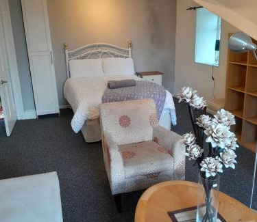 Sketty House | Loft studio Singleton