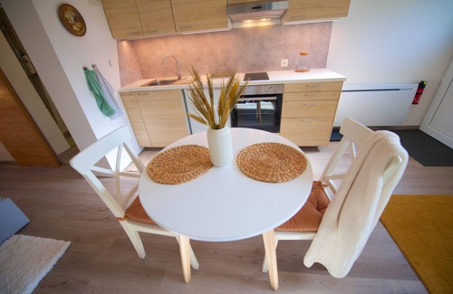 Leysin Apartment | Loft studio with sauna, next to the slopes