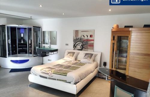 Agen Apartment | Loft Zen SPA Balneo Parking Gratuit Sauna Hammam Billard