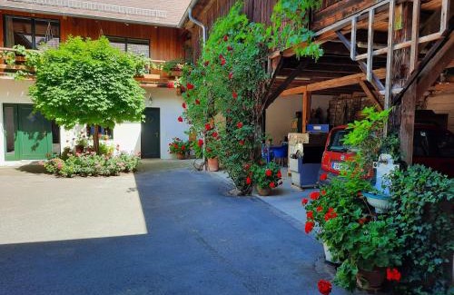 Scheibbs Apartment | Loftartige Wohnung in Scheibbs mit Schwimmteich