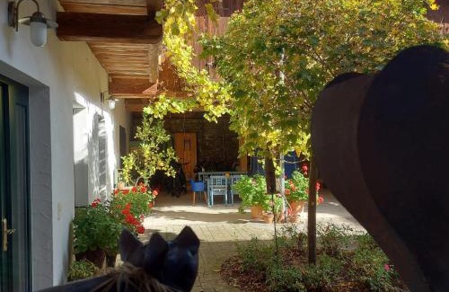 Scheibbs Apartment | Loftartige Wohnung in Scheibbs mit Schwimmteich
