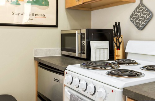 Lake City Apartment | Loftium | Beautiful 1 BR Guest Suite w/ Kitchen + Laundry