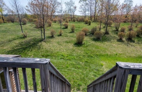 Parksville Cabin | Log Cabin on 120 Acres & Spring-Fed Pondn