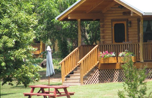Daingerfield Cabin | Log cabin overlooking a private lake on a working farm
