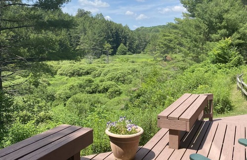 Hartland Cabin | Log Cabin Retreat on 40 Acres
