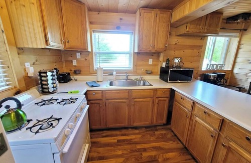 Bitely Cabin | Log Cabin Sisson Lake Kayaks Firepit Arcade Game