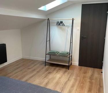 Saint Nicolas - Charles III - Ville vieille - Trois Maisons - Leopold Apartment | Logement cœur de Nancy