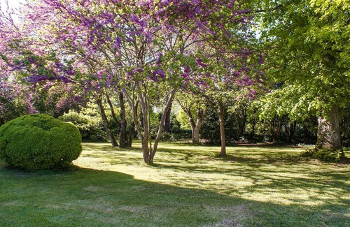 Gontaud House | Look forward to a vacation in beautiful surroundings in this vacation home with pool.