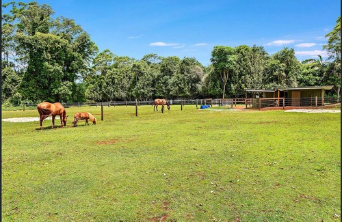 North Tamborine Cottage | Lorikeet Luxury Home - Mount Tamborine