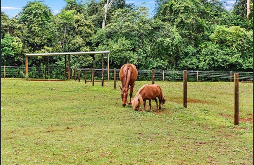 North Tamborine Cottage | Lorikeet Luxury Home - Mount Tamborine